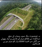 Beautiful sialkot singapore
